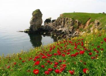 ONE-DAY TOUR OF THE NORTHERN BLACK SEA - THE MOST- THE OLD CULTURE IN EUROPE