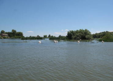 TULČA - THE DANUBE DELTA